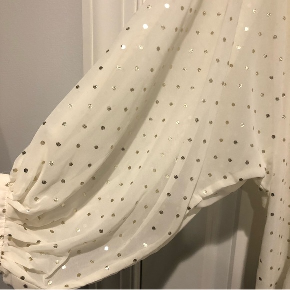 Zara Sheer Polka Dot Blouse - Picture 7 of 9